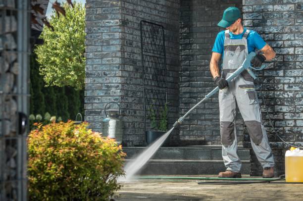 Animal Enclosure Cleaning in Claypool Hill, VA